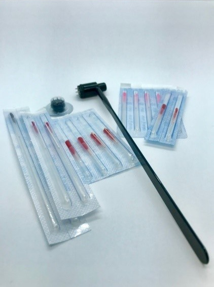 aiguilles et marteau fleurde prunier